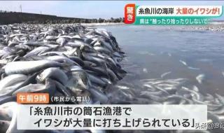 日本核污染废水排放对南黄海水域和整个世界海洋的影响